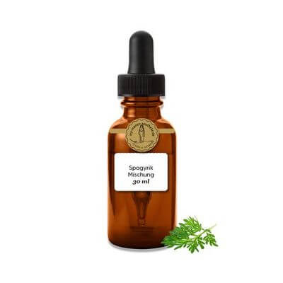 Zingiber officinale spagyrische Einzelessenz