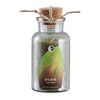 Martina Gebhardt Baobab Foot Bath